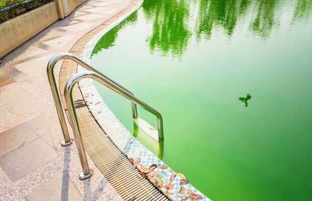 Comment nettoyer une eau de piscine verte - Vague de chaleur