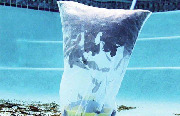 Comment entretenir correctement votre aspirateur de piscine - Vider le sac et nettoyer les filtres